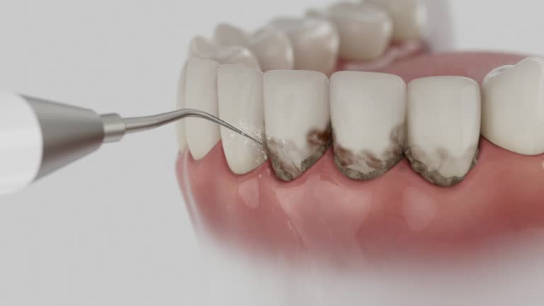 Reliable Dental contractor in San Augustine, TX by Dentist Open Now